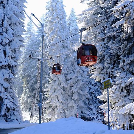 Your Place Borovets Exterior photo